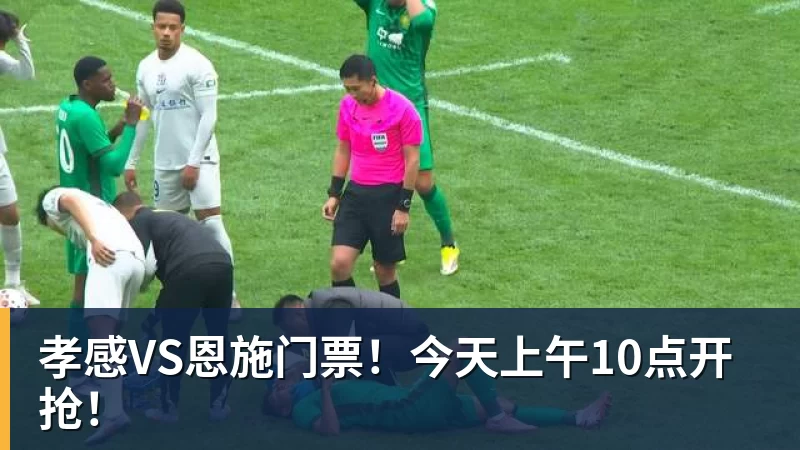 乐冠体育孝感VS恩施门票！今天上午10点开抢！