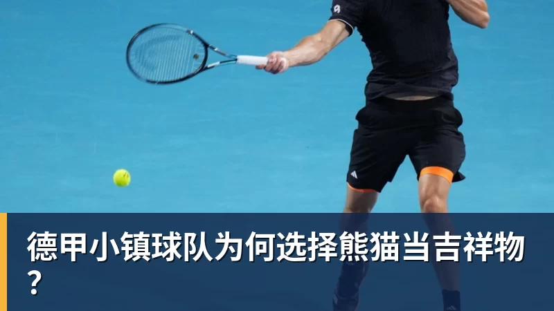 乐冠体育德甲小镇球队为何选择熊猫当吉祥物？