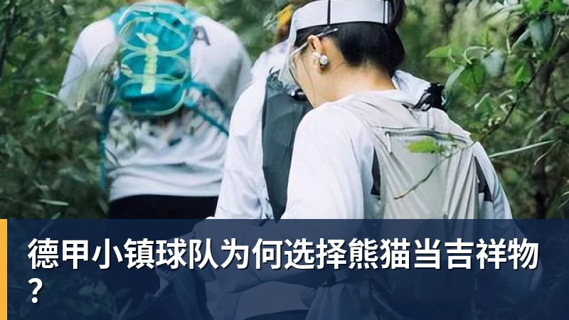乐冠体育德甲小镇球队为何选择熊猫当吉祥物？