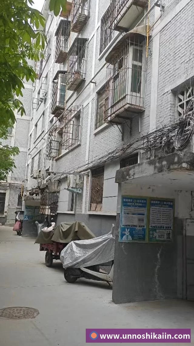 荣誉资质标题五